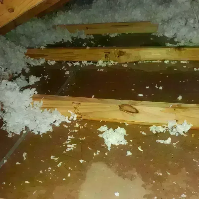 Attic Water Damage in Iron Mountain, MI