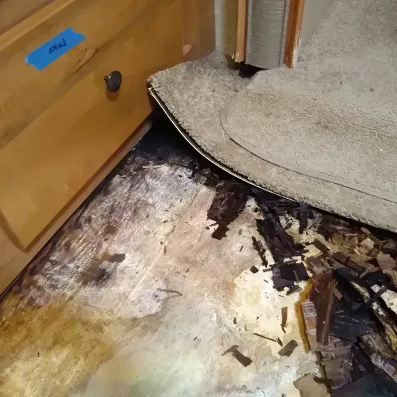 Wood Floor Water Damage in Iron Mountain, MI